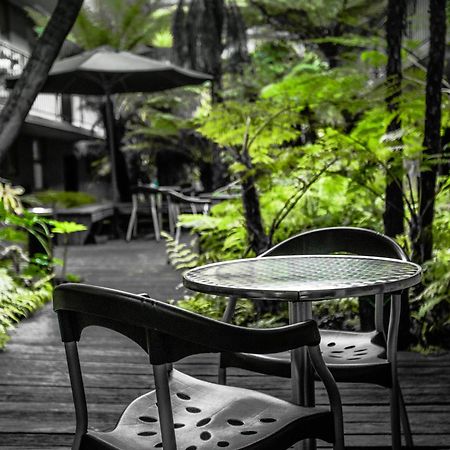 Albert Heights Serviced Apartments Мельбурн Экстерьер фото